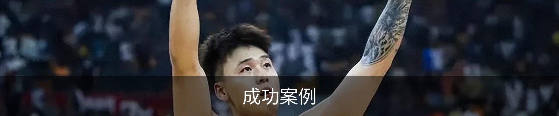 成功案例